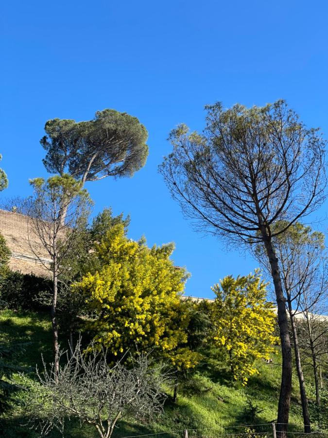 Vatican Green Holidays House Roma Dış mekan fotoğraf